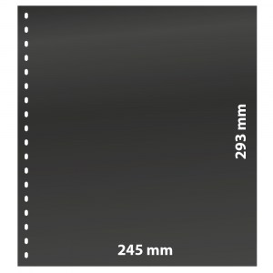 01P