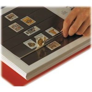 161194b3816e161abec8f767df27d5f7