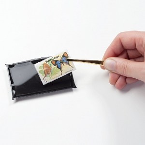 2443e5da2b2a78c4d37fd333ebdab430