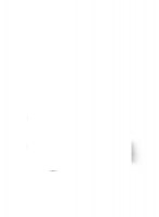 306206_2.jpg