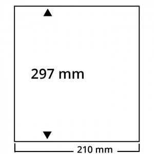 447