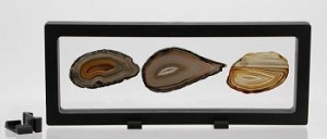 66600b2ab7458641af49d636cb07f43a