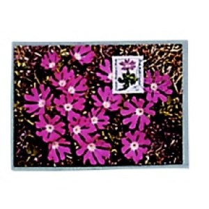 685942ded20f3623606049f9c5ddeebd