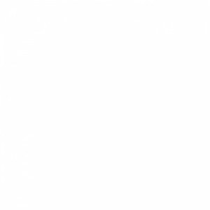 8ca56bb6c5e612b1128bf178cb24475e