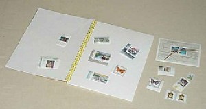 f0ac8d1c526f48b4387b207bb71aefa2