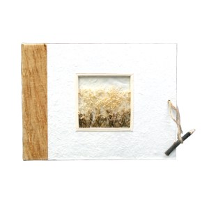 fbeb54da404406f3eadba47ee15262a9