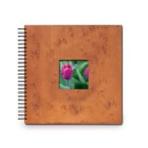 fe3c1a481c6b64c8b3208429662973d5