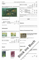 mice26_1.png